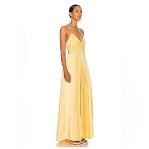 ALC ARIES Dress / Gown -PINA 4